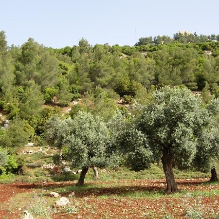 Ajloun Hotel Exterior photo