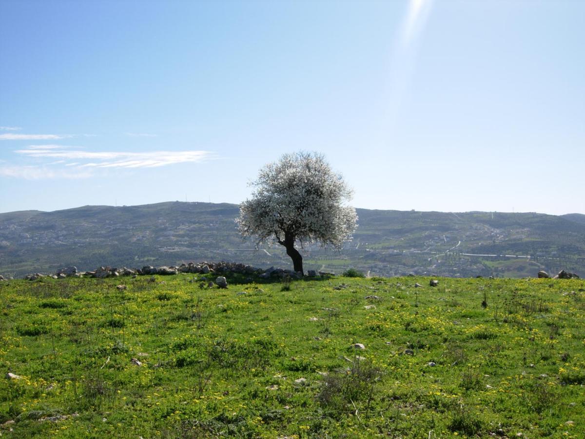 Ajloun Hotel Exterior photo